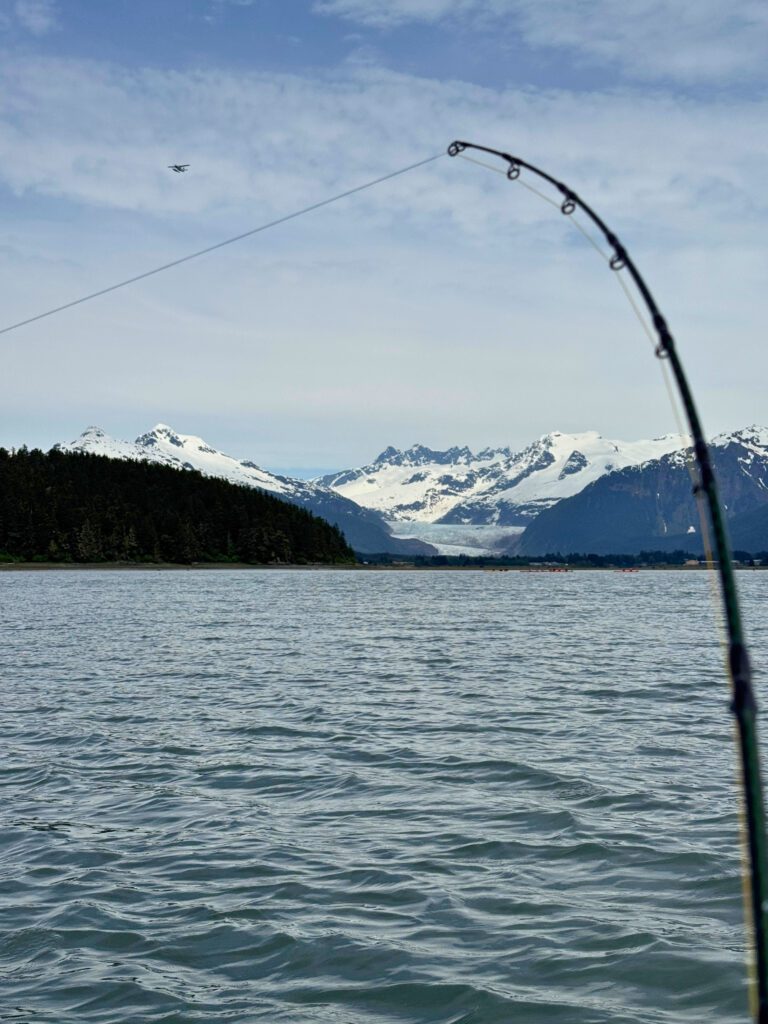 Fishing rod arced with a salmon on the line, calm water and snow-capped mountains behind a Juneau salmon charter